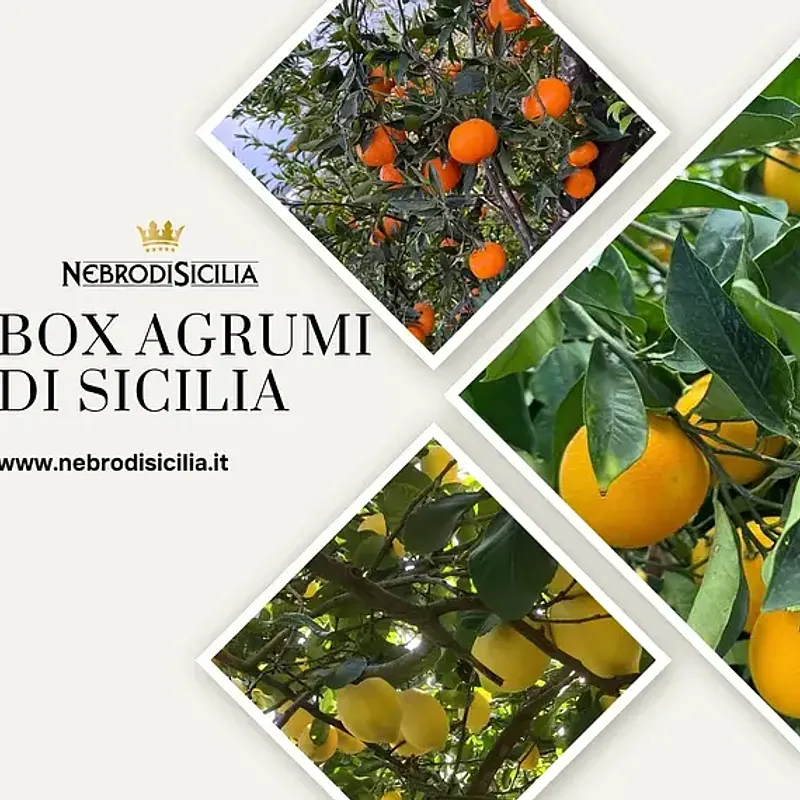 Box Agrumi di Sicilia — photo 1