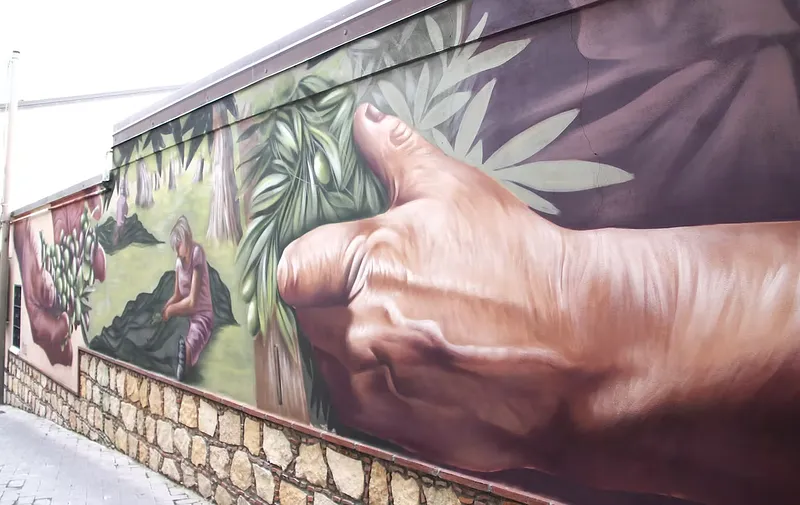 “La raccolta delle Olive” – Murales