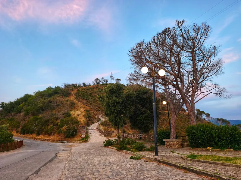 La pineta di Piraino