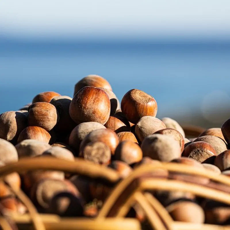 Nocciole — photo 1