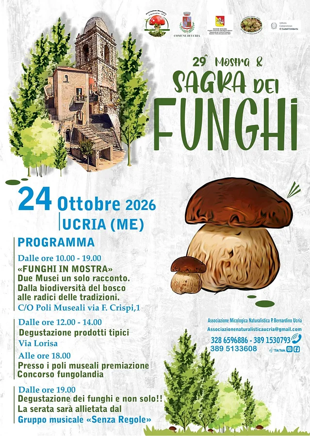 29^ mostra & sagra dei funghi ad Ucria · Ttattà Go