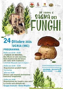 29^ mostra & sagra dei funghi ad Ucria — foto 1