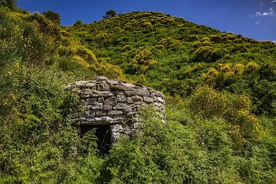 "Cùbburi"