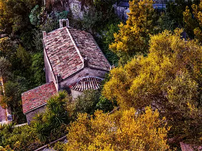 © Antonino Bartuccio 2019